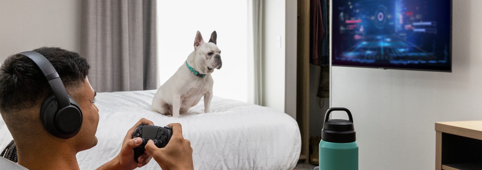 Pet friendly dog on bed