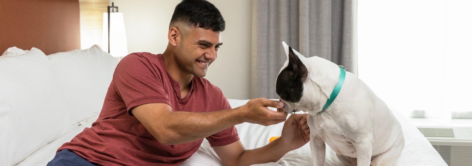 Man on a bed with a pet dog